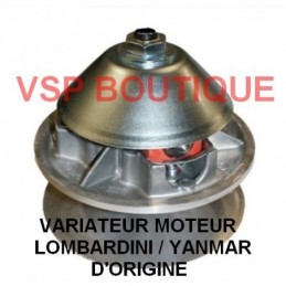 VARIATEUR MOTEUR LOMBARDINI...